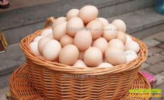 ���ɹ���ԭ�������������� ��������������Ч���