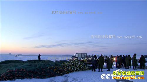 һ��2000�� ��ƾɶ��׬10��Ǯ