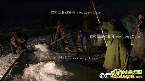 һ��2000�� ��ƾɶ��׬10��Ǯ