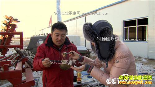 һ��2000�� ��ƾɶ��׬10��Ǯ