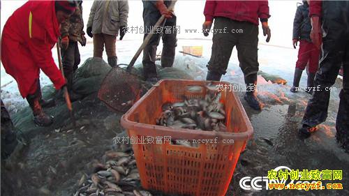 һ��2000�� ��ƾɶ��׬10��Ǯ