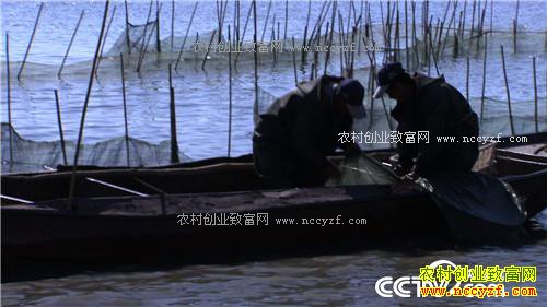 һ��2000�� ��ƾɶ��׬10��Ǯ