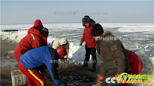 һ��2000�� ��ƾɶ��׬10��Ǯ