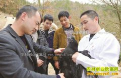 �Ĵ��Ͻ���������ֳ�ڷ��ڼ�Ч���