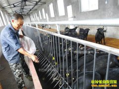 ����ɽ�򡱱䡰���ˡ� ����������ɽ��۸�ˮ�Ǵ���