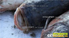 [�¸���]һ��2000�� ���������쿵־��ƾɶ��׬10��Ǯ