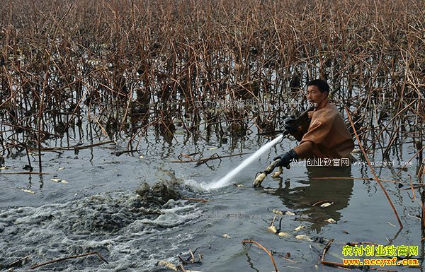 ɽ��������Ź���ƺ�̲Ϳ��ֲ��ź�˾���������ǧԪ