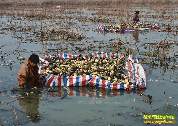 ɽ��������Ź���ƺ�̲Ϳ��ֲ��ź�˾���������ǧԪ