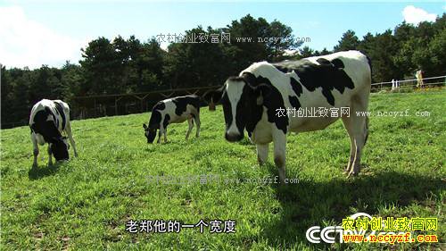 �������˶��δ�ҵ��ε�������Ƹ����£�