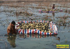 ɽ��������Ź���ƺ�̲Ϳ��ֲ��ź�˾���������ǧԪ