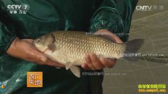 [ũ�����]���ÿ�ķ�����������ֳ������Ƶ