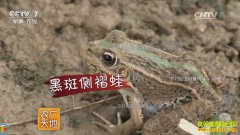 [ũ�����]�㽭�����⴫�����ù���������