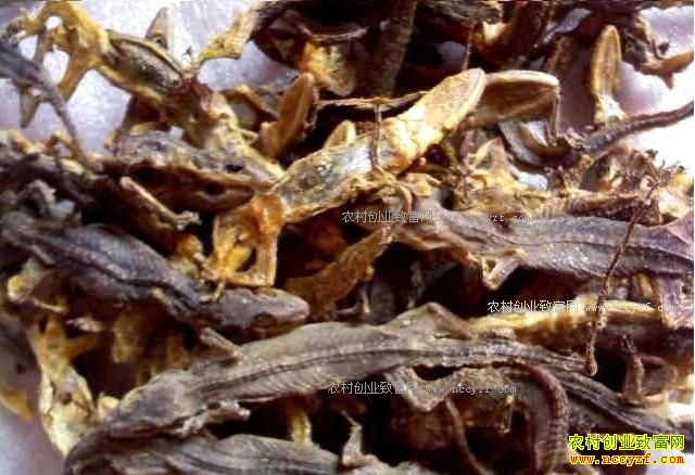 2017��2��19����ҩ���������ڻ����۸�����