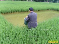 ��������ϺЧ��������ˮ������ʲô��ã�