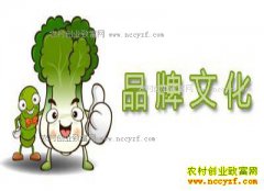 2017�����ʮ��ũҵƷ�ƶ���ɶ