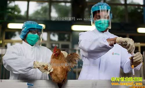 �����С���Ű���⼦��ֳҵ δ���⼦��ֳǰ��������