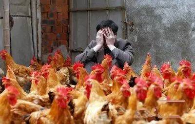 �����С���Ű���⼦��ֳҵ δ���⼦��ֳǰ��������