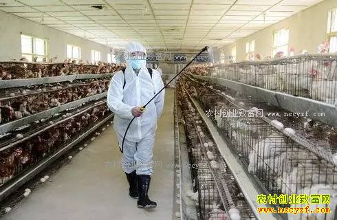 �����С���Ű���⼦��ֳҵ δ���⼦��ֳǰ��������