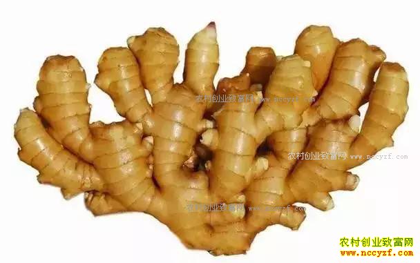 2017�������۸�Ԥ�⼰������ֲ������ʾ