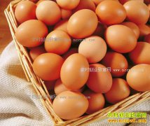 �ӱ���ˮ�����۸�һ·�µ����µ� �������߲˻�����