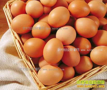 �ӱ���ˮ�����۸�һ·�µ����µ� �������߲˻�����