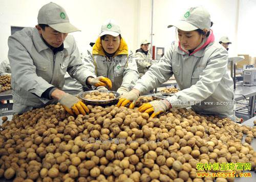 2017�����ũ���ʲô��׬Ǯ-���Ҽӹ�