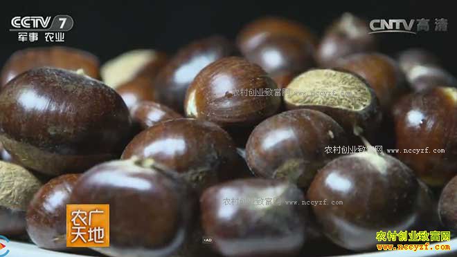 [ũ�����]������������Ģ�����ϰ����� ������Ģ�� 