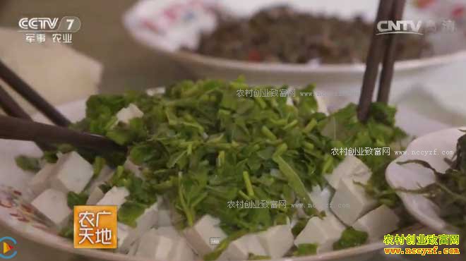 [ũ�����]ɽ��������־�´������㴻Ч���