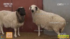 [ÿ��ũ��]���ɹ�û����ζ������������ֳЧ���