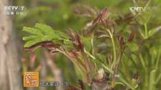 [ũ�����]ɽ��������־�´������㴻Ч���