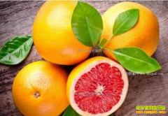 �����ɿ�����Ѫ�ȼ۸���������