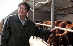 ���Ĺ�ԭ��ţ������ΰΰ��ţ�¸���������