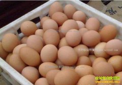 ���������ͨ�����۸������������� ÿ��3Ԫ