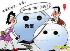 ����ʶ��΢������Ȧ���΢��Ӫ�����Ǵ���ƭ��