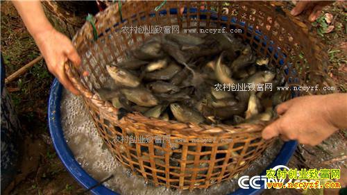 ����·�����׬Ǯ(20170217)