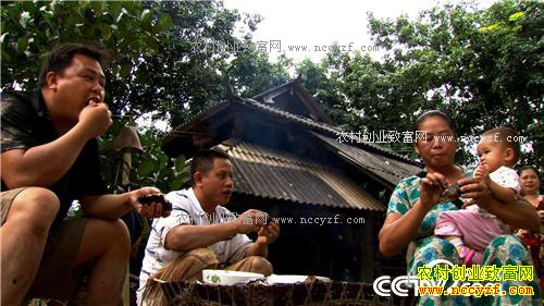 ����·�����׬Ǯ(20170217)