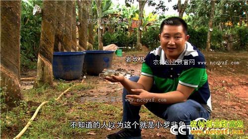 ����·�����׬Ǯ(20170217)