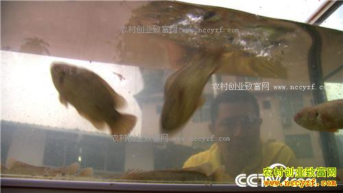 ����·�����׬Ǯ(20170217)