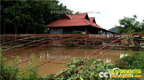 ����·�����׬Ǯ(20170217)