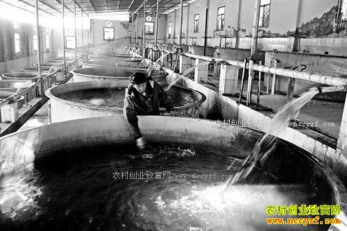 ����ͭ������壺��Ȫˮ���� �ļ����ջ�