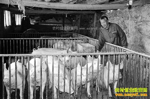 ����ᶼ��¸��������������������60����