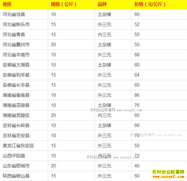 2017�����������۸�