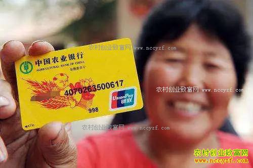 2017��ũҵ���������죬��ô�죿