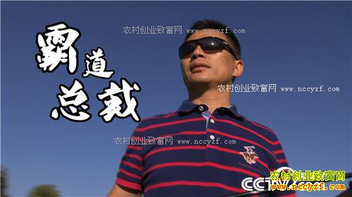 �¸�����һ����200Ԫ һͷţ20�� ƾɶ 2��21��