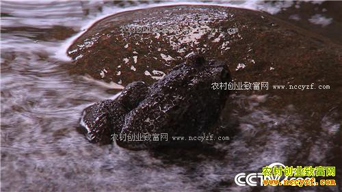 ϱ���һ�Ǯ֮������ĲƸ�ת��(20170220)