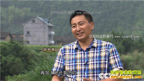 �¸�����ϱ���һ�Ǯ֮��ĲƸ�ת�� 2��20��