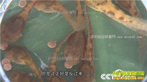 ϱ���һ�Ǯ֮������ĲƸ�ת��(20170220)