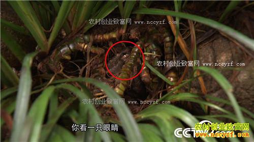 ϱ���һ�Ǯ֮������ĲƸ�ת��(20170220)