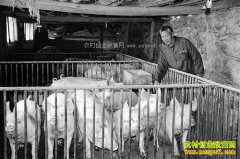 ����ᶼ��¸��������������괿����60����