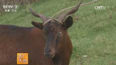 [ũ�����]���������ɽ����ֳ������Ƶ